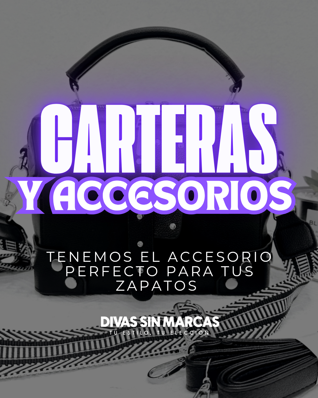 CARTERAS Y BANDOLERAS